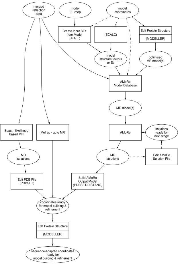 roadmap for molecular replacement in CCP4i