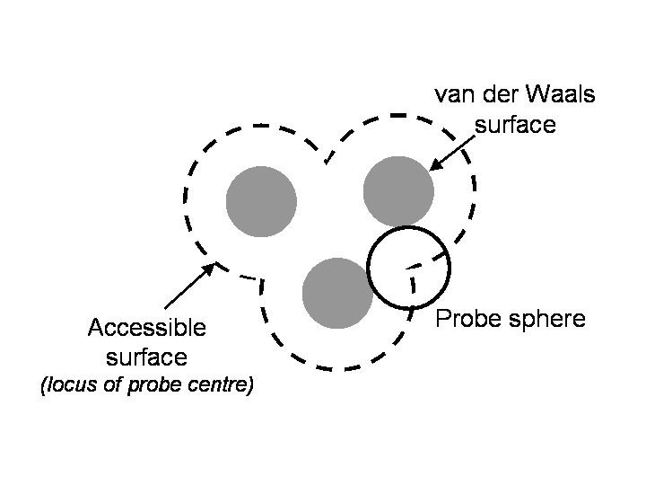 Figure 1: accessible surface area