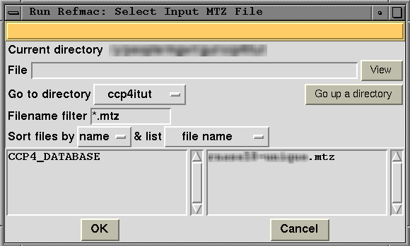 File and
Directory Selection Window