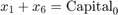 $$ x_1 + x_6 = \mathrm{Capital}_0 $$
