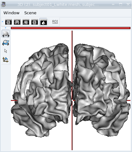 View of white matter meshes in 3D window.