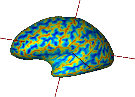 Fusion between an inflated cortical surface mesh and a texture