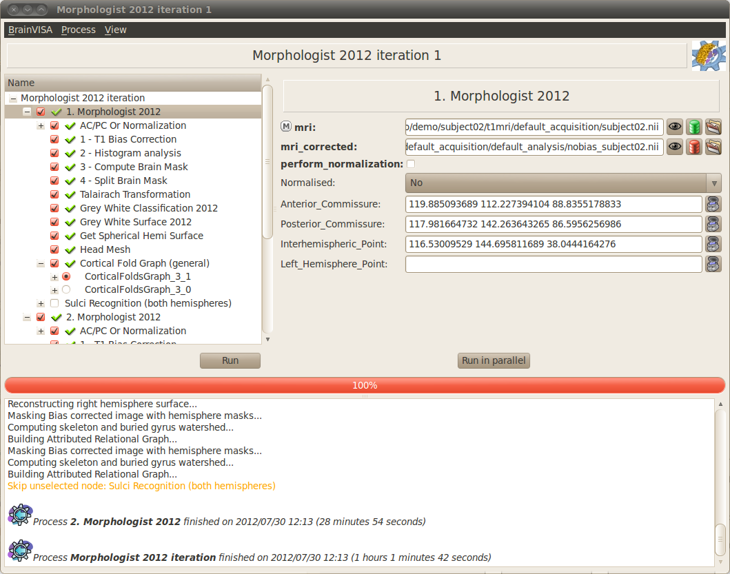 Anatomical pipeline Iteration