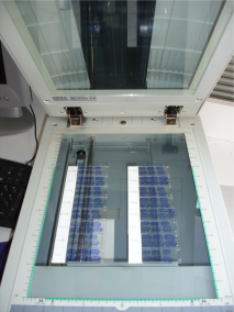 (a) Acquisition of autoradiographic sections and corresponding radioactive [14C] standards. (b) Acquisition of homologous histological stained sections.