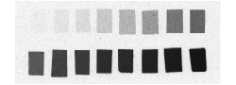 (a) Overall scan of histological sections stained with cresyl violet (three glass slides arranged in a column, 600 dpi). (b) Overall scan of corresponding [14C]-2DG autoradiographic sections. (c) Radioactive [14C] standards.