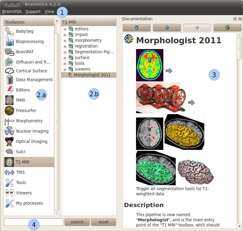 General user interface of BrainVISA